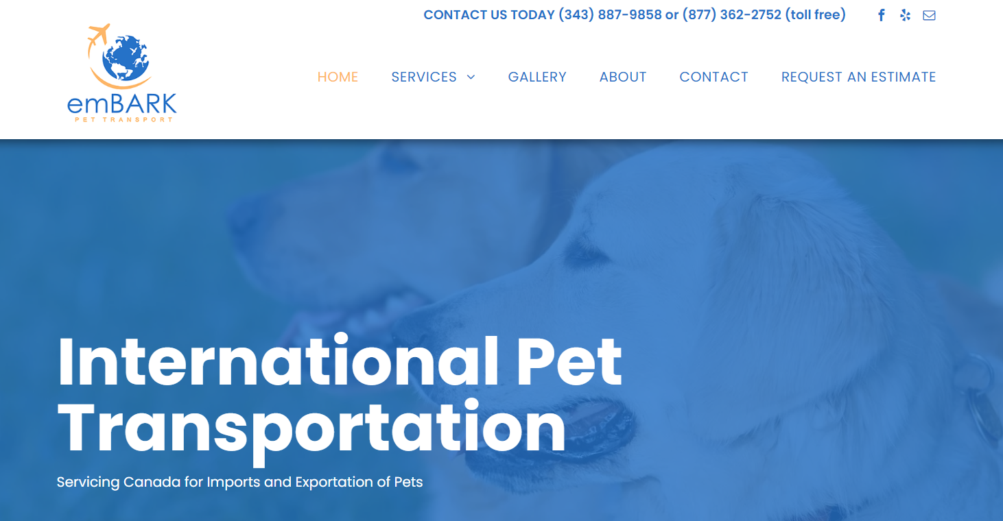 Moving with Pets Made Easy 7 Best Pet Carriers in 2023