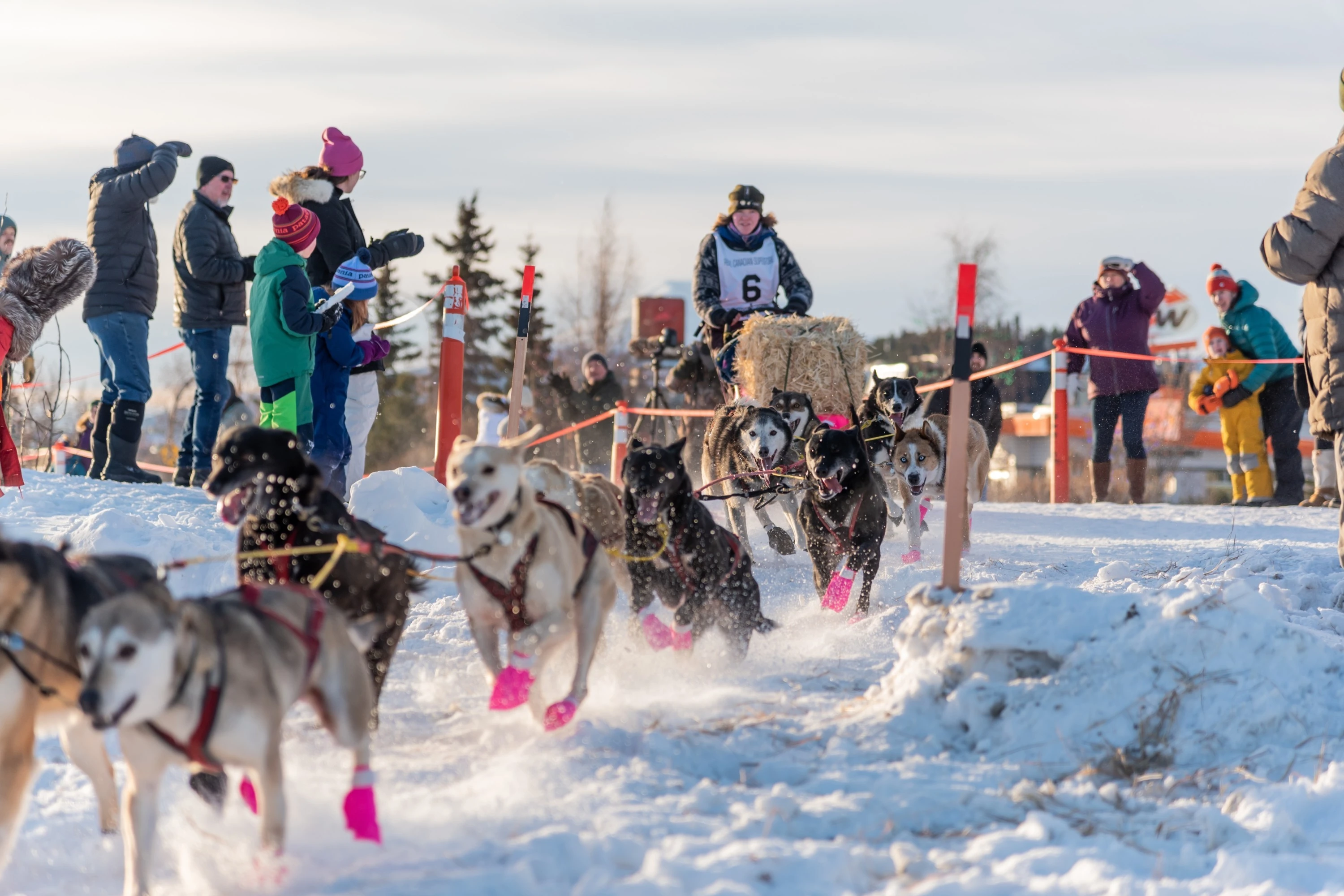 Navigating Canada: A Newcomer's Guide to Local Traditions and Heritage