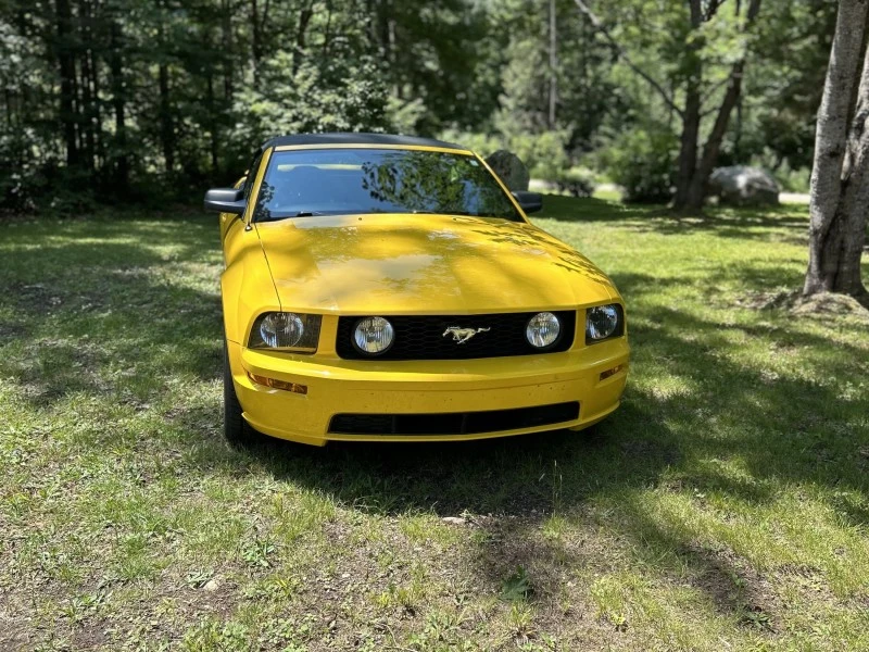 Ford mustang