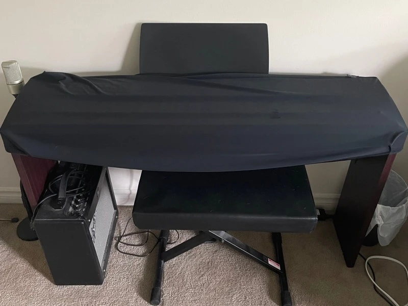 Roland F-20 Digital Piano