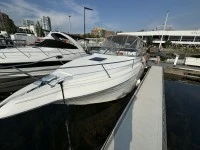 Motor boat Larson 33ft deep bow