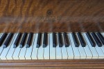 Willis Montreal - console/studio piano