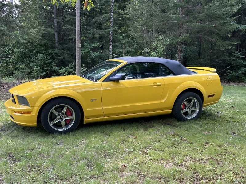 Ford mustang