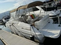 Motor boat Larson 33ft deep bow