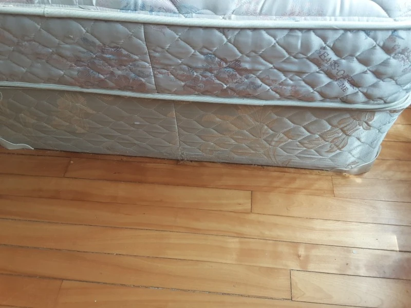2 single beds mattress and box sprig only. No frame or head board