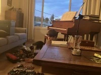 Yamaha G3 piano