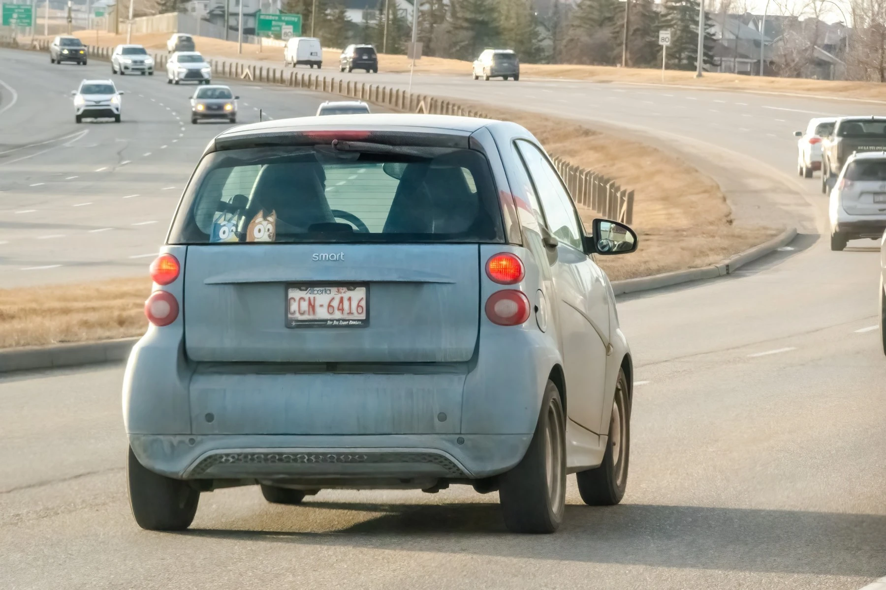 Traffic in Calgary