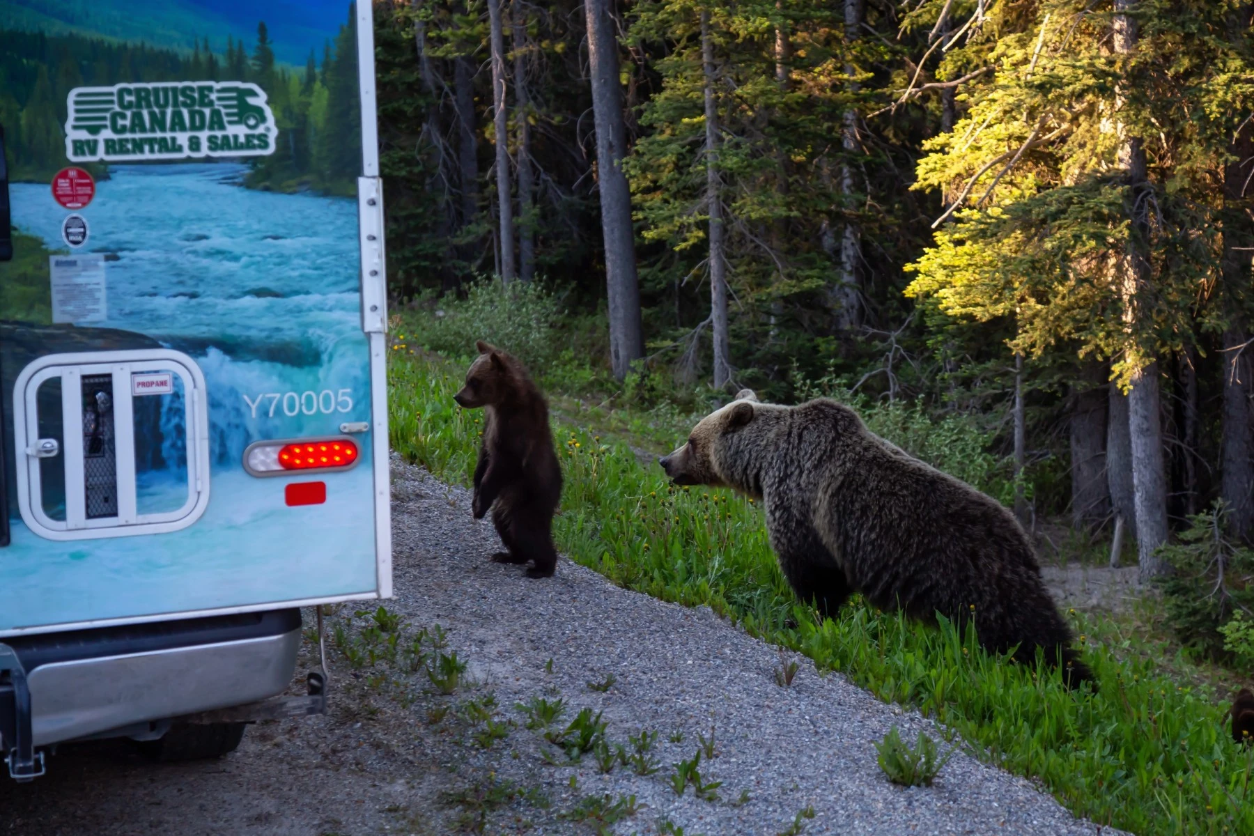 RV camp Banff National Park, Canada